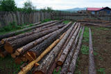 Img257712408