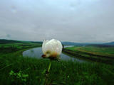 Img257712395