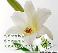 未命名16