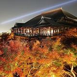 日本和歌山市的日高川町