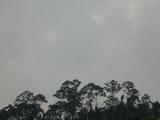 P1050515