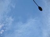 P1060517