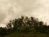 P1050065b