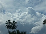 P1040878b