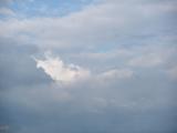 DSCF3782