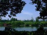 似是画中故人来