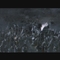 魔戒首部曲:魔戒现身