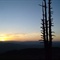13579553_104127921[1]
