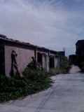 IMG0617A