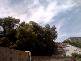 IMG0631A