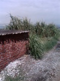 IMG0621A