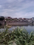 IMG0623A