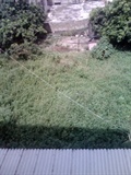 IMG0608A