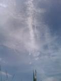 IMG0628A