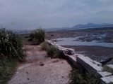 IMG0620A