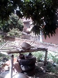 IMG0612A