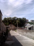 IMG0630A