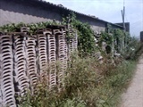 IMG0618A