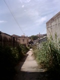 IMG0629A