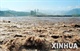 三峡组图7