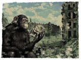 470bc19006d3a4a1dd559
