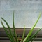 DSC00193