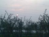 20090814023