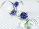 7e1343195d52152035fa41be[1]