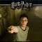 Harry Potter0