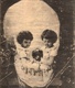 skull7