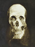 skull6