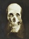 skull6