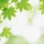 清新夏日