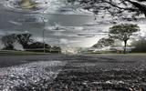Creative_idea_CYWX_4006