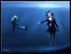 the big blue