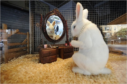 Banksy’s White Rabbit