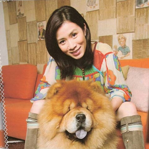 佘诗曼
