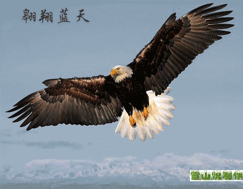 ff08081ca4496a9b86d6b652