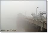 四月普陀小春游---码头的晨雾