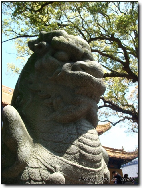 四月普陀小春游
