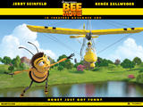 bee_wall_1024x768_3