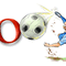 euro2008