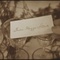 The Marriage Circle 1924 Dvdrip Xvid-Tir