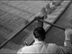 Naked City-4