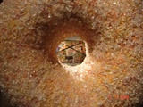 DSC02196
