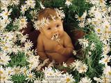 Anne Baby