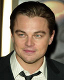 264339~Leonardo-DiCaprio-Posters