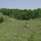 IMGP2575_缩小大小