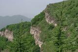 IMGP2573_缩小大小