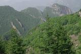 IMGP2574_缩小大小